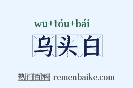 乌头白是什么意思的图片
